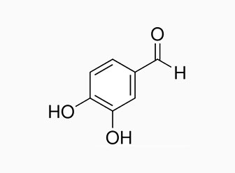 Aldeide protocatecuica