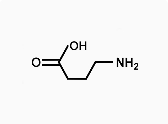 Acido γ-amminobutirrico