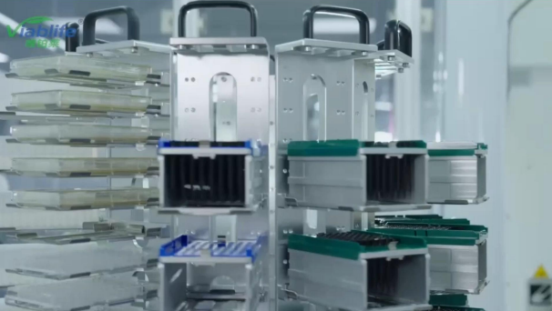 Produzione di nicotinamide Viablife: nuove tecnologie pionieristiche per un futuro sostenibile