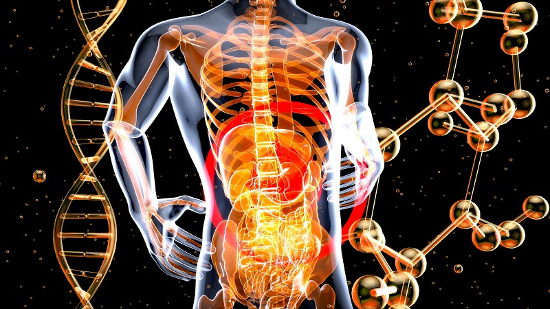 I prodotti D-Tagatosio come prebiotici contribuiscono alla salute intestinale umana