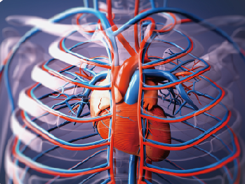 Metabolic Pathways of Hydroxytyrosol: Endogenous and Exogenous Sources