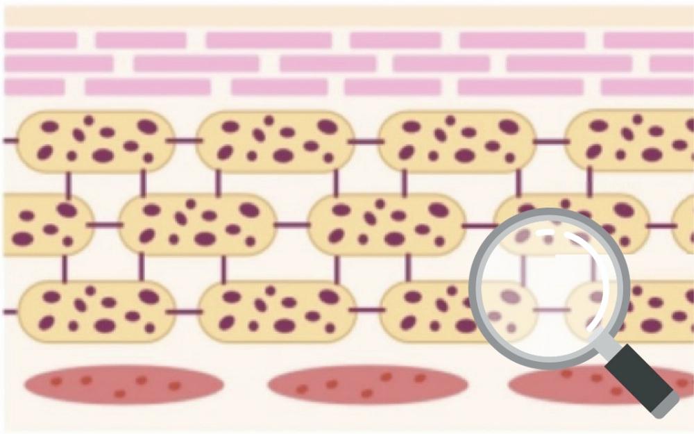 La doppia rivoluzione: dalla riparazione alla resilienza The Dual Revolution: From Repair to Resilience